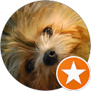 Pedro Jo Garcia profile picture