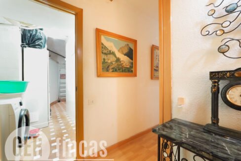 MIQUEL VIVES 04-146
