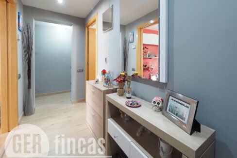 Llimona -2