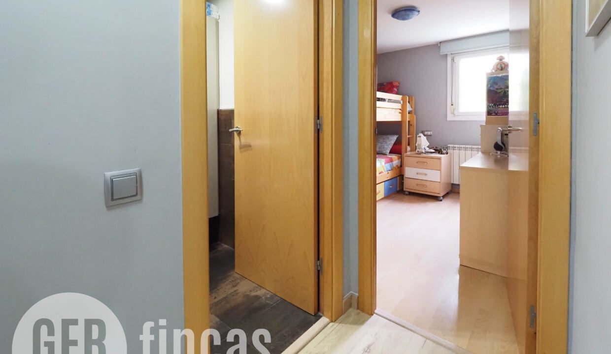 Llimona -24