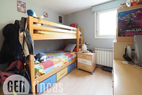 Llimona -27