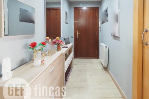 Llimona -3