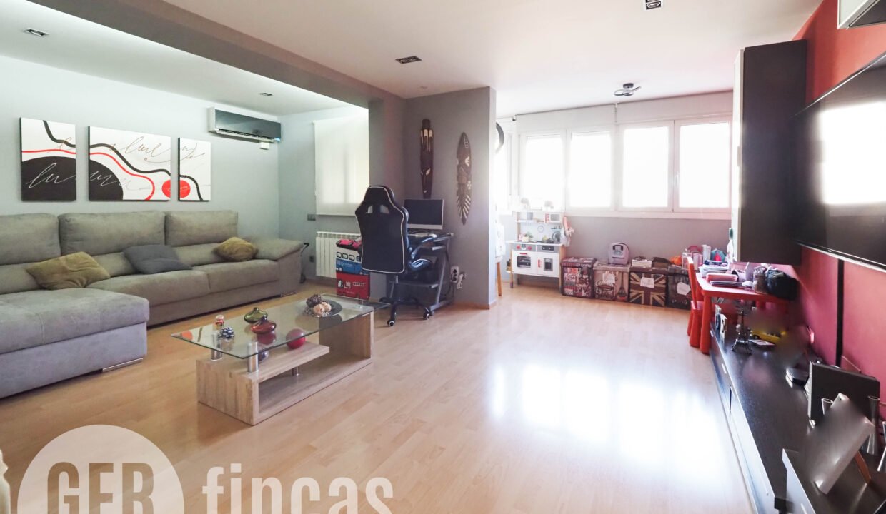 Llimona -5