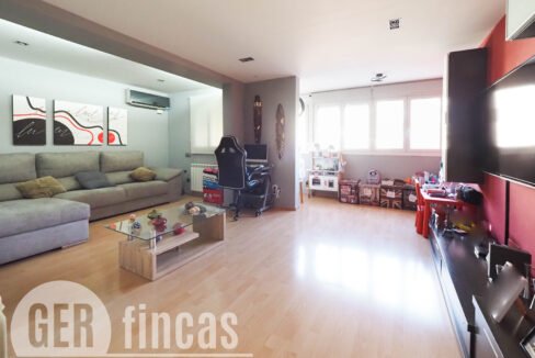 Llimona -5