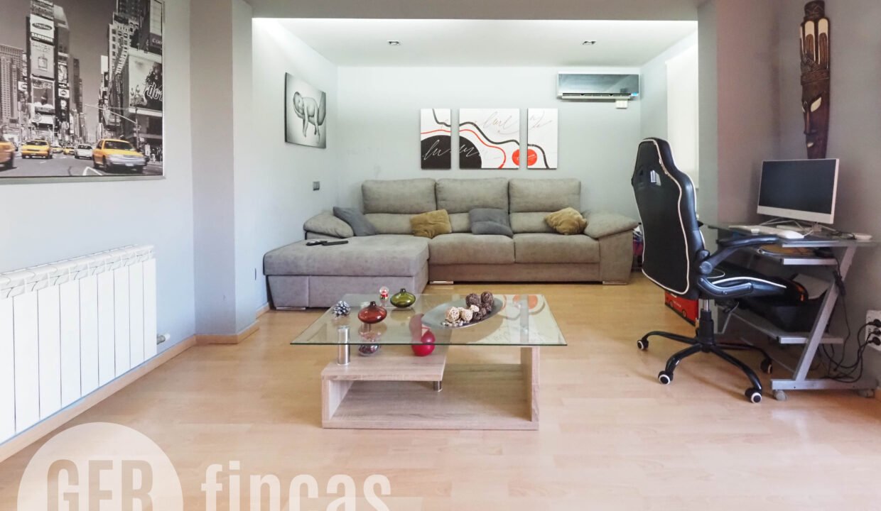 Llimona -6