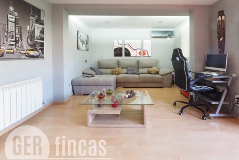 Llimona -6