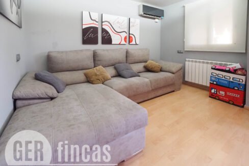 Llimona -7