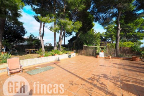 Pica destats-13