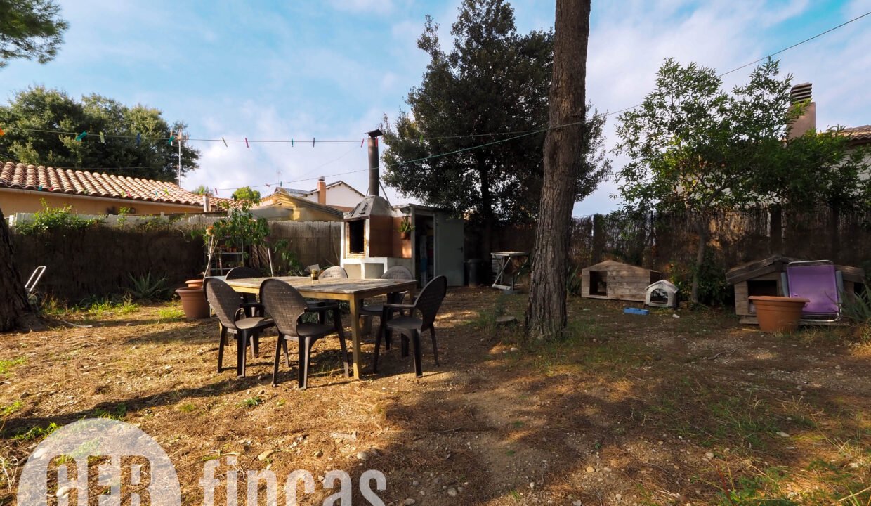 Pica destats-16