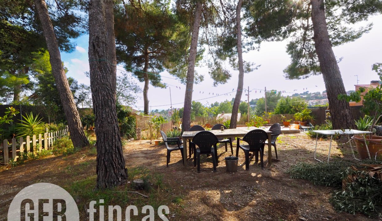 Pica destats-20