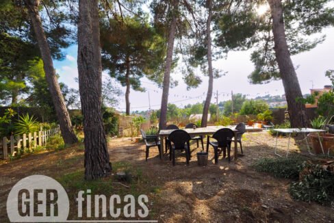 Pica destats-20
