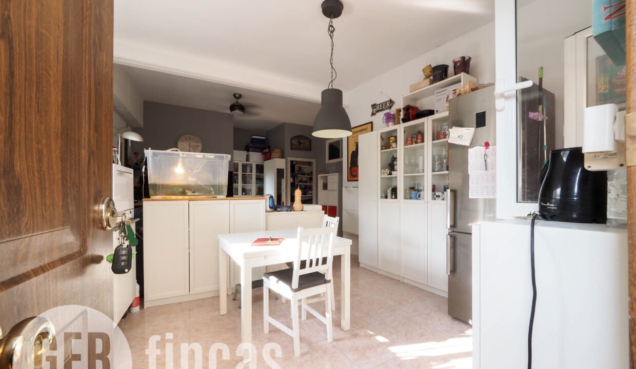 Pica destats-25