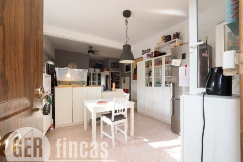 Pica destats-25