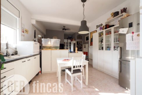 Pica destats-26