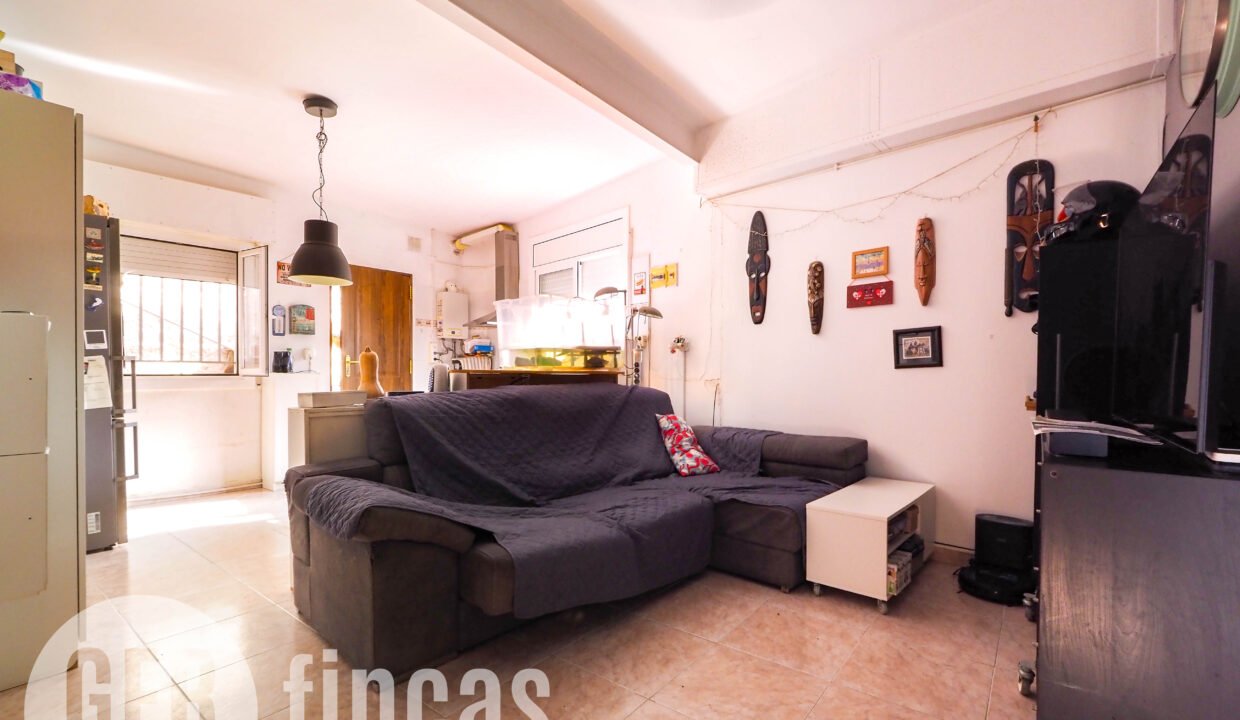 Pica destats-37