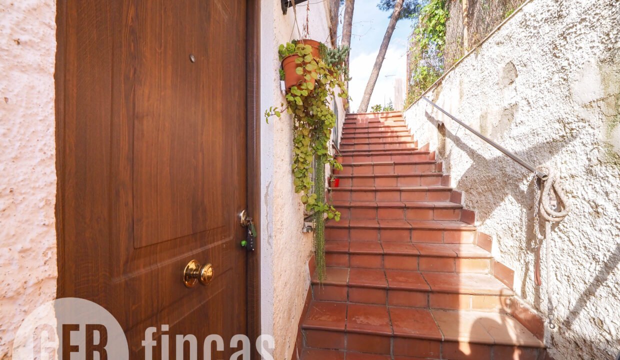 Pica destats-6