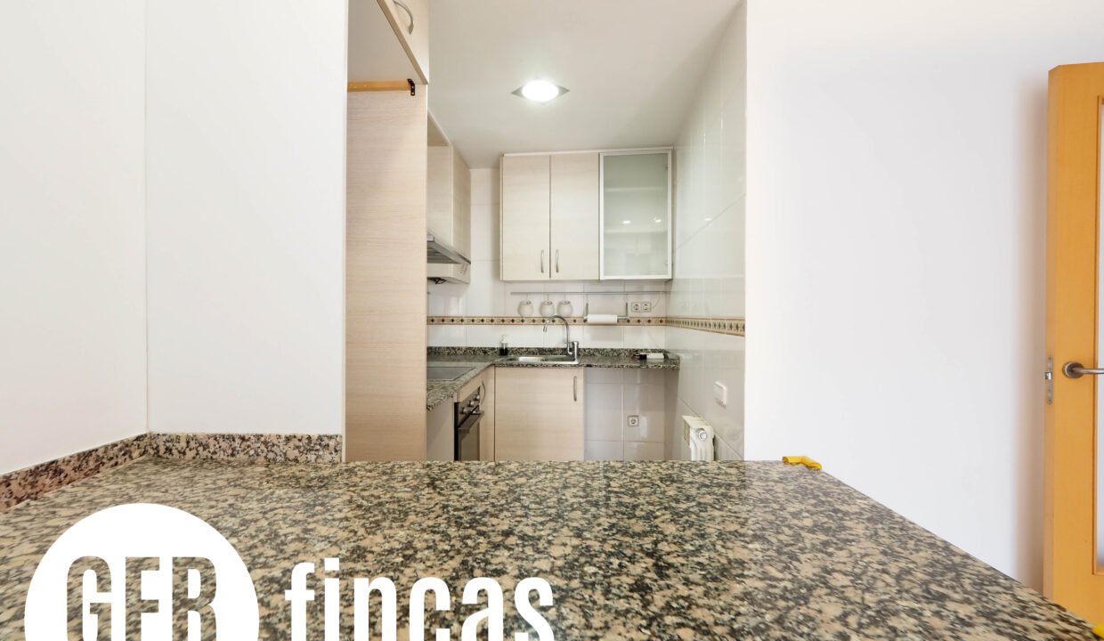 LLEÓ 1114