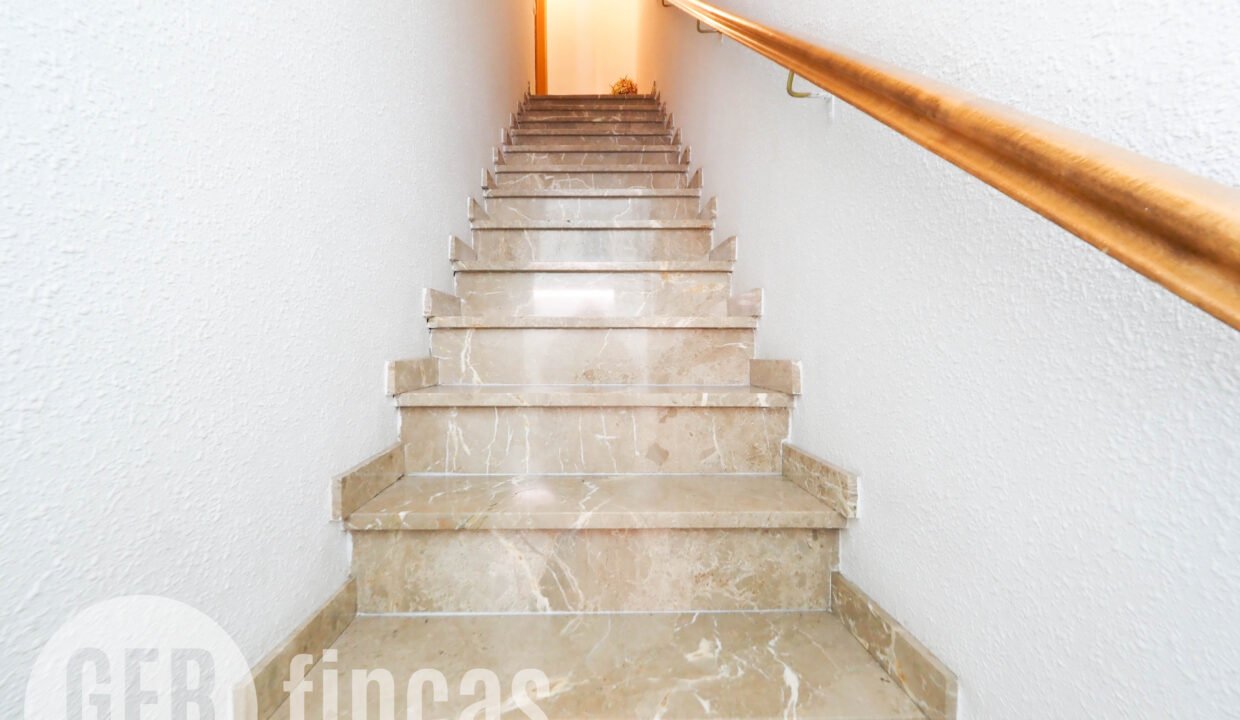 PINTORVANCELLS-4200009 - copia