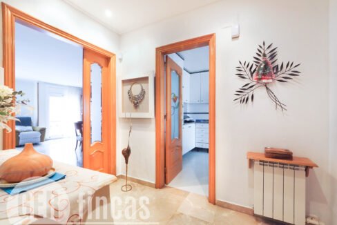 PINTORVANCELLS-4200010 - copia