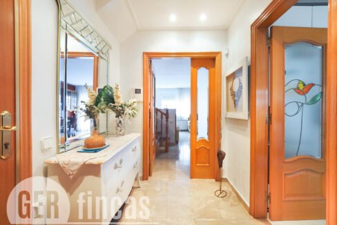 PINTORVANCELLS-4200011 - copia