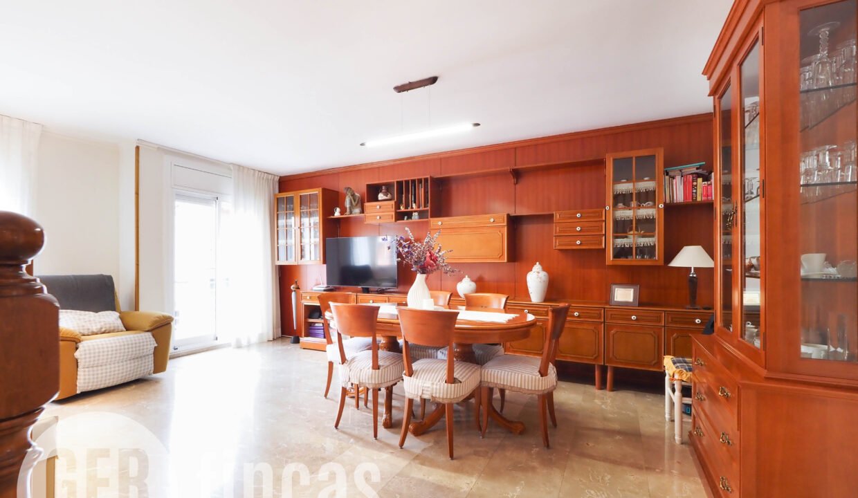 PINTORVANCELLS-4200017 - copia