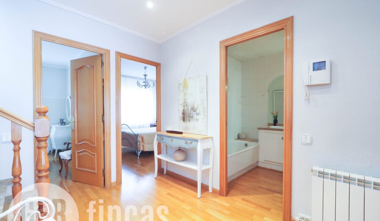 PINTORVANCELLS-4200025 - copia