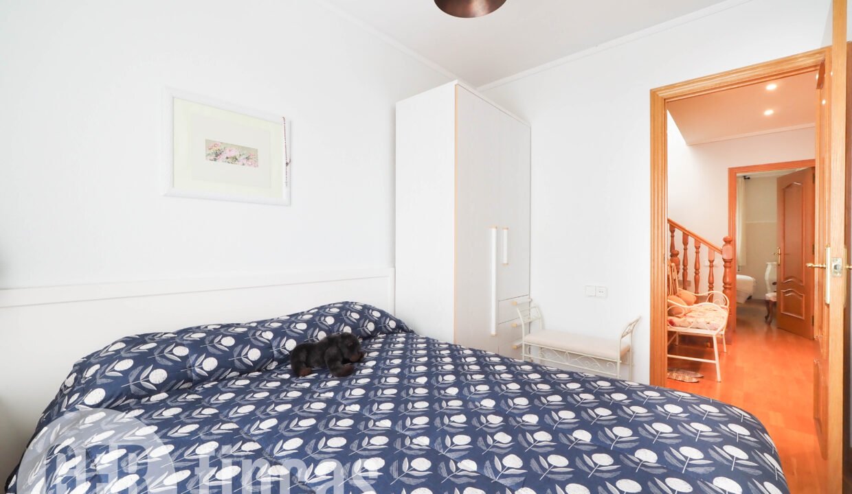 PINTORVANCELLS-4200028 - copia