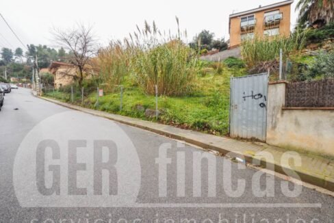 500806_20065629455_1_20211223132316624