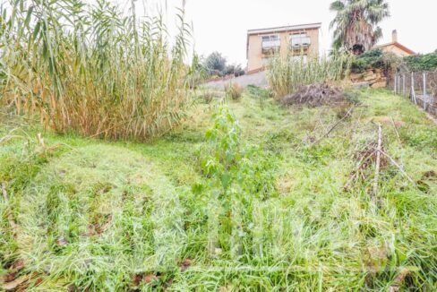 500806_20065629455_4_20211223132330450