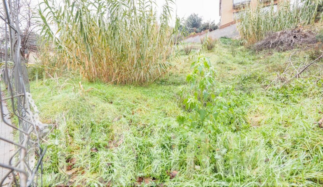 500806_20065629455_5_20211223132335446