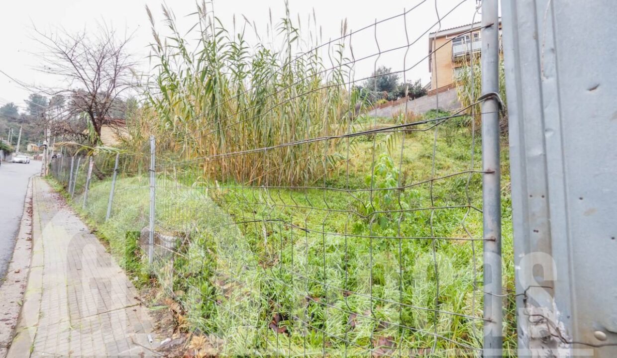 500806_20065629455_6_20211223132340442