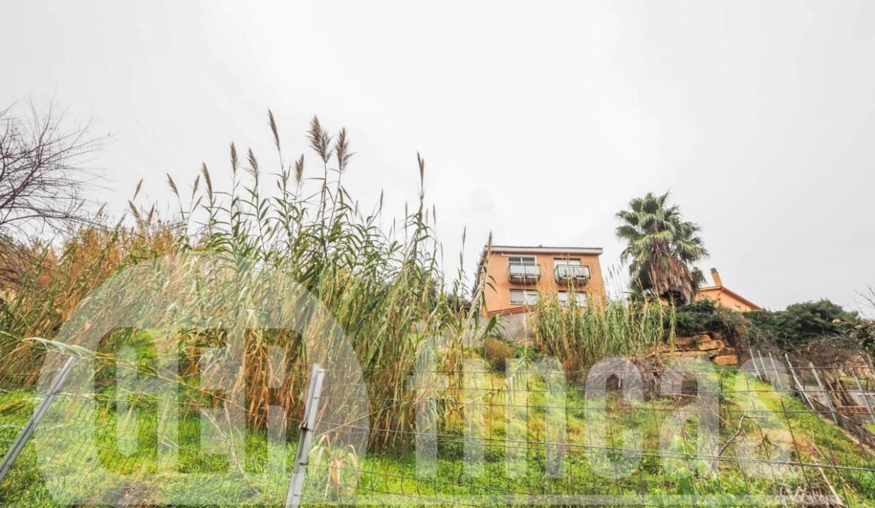 500806_20065629455_7_20211223132345456