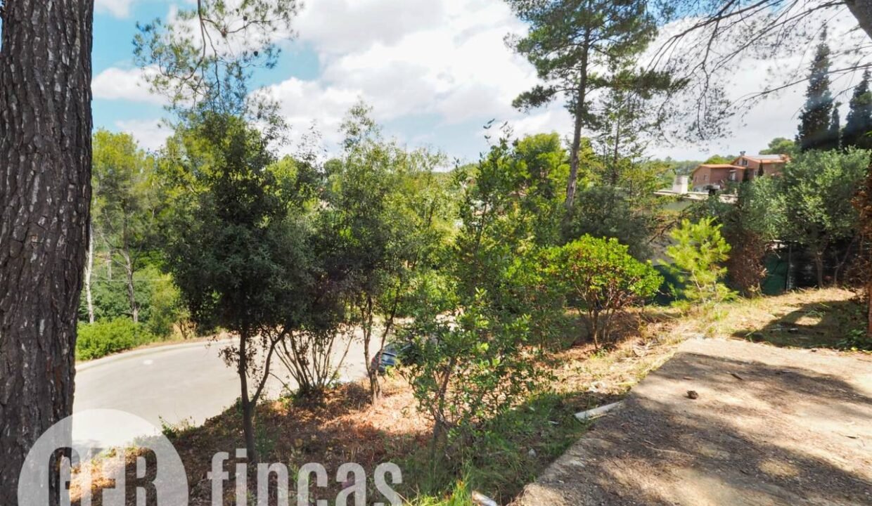 500806_45926208727_35c8d650-b181-4d6d-8a1b-49f971d0c8dd