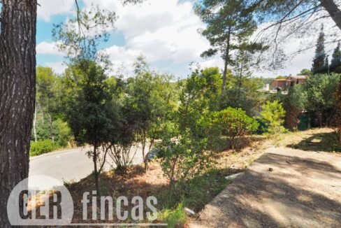 500806_45926208727_35c8d650-b181-4d6d-8a1b-49f971d0c8dd