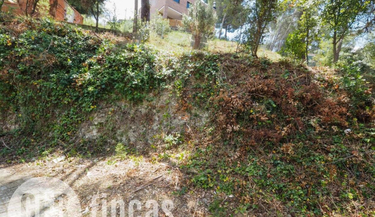 500806_45926208727_48f07c8e-50c1-4a61-aed7-365c96fd110c