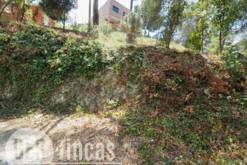 500806_45926208727_48f07c8e-50c1-4a61-aed7-365c96fd110c