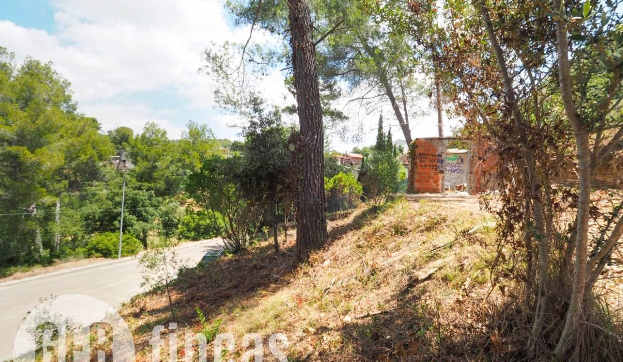 500806_45926208727_67d5ebf1-aeec-4cad-88c6-cac5c8591732