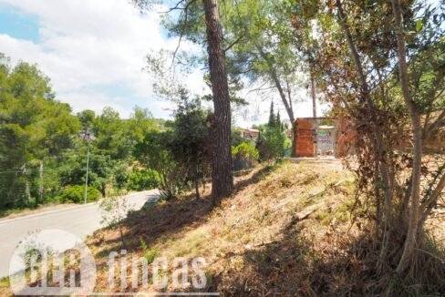 500806_45926208727_67d5ebf1-aeec-4cad-88c6-cac5c8591732