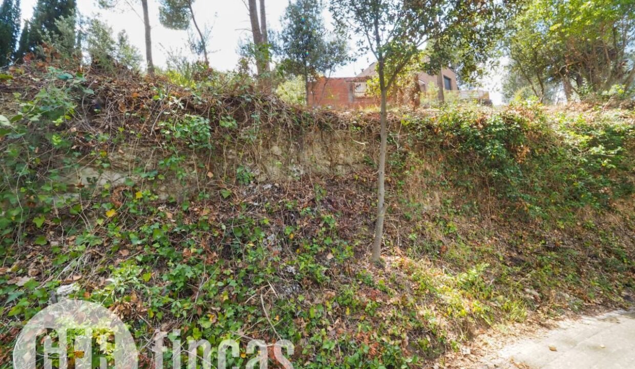 500806_45926208727_71e25c6e-aeaa-4a77-999b-a510f2f16f90