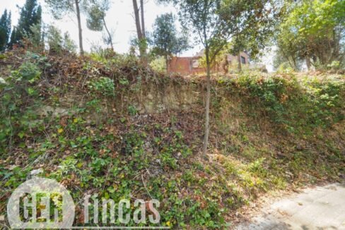 500806_45926208727_71e25c6e-aeaa-4a77-999b-a510f2f16f90