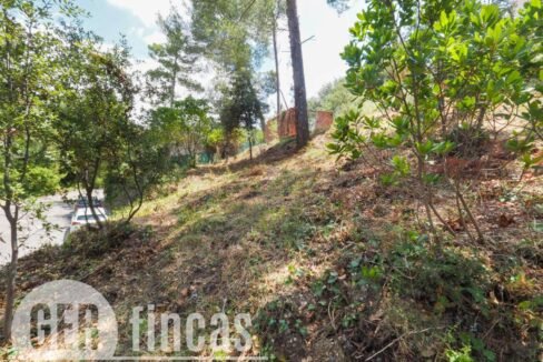 500806_45926208727_b4aa8e8f-d2de-499c-961c-868e1d6fd181