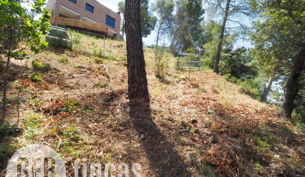 500806_45926208727_c8c6cd1a-0b33-4d0b-bb05-478cd62d726a