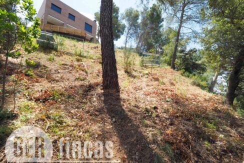 500806_45926208727_c8c6cd1a-0b33-4d0b-bb05-478cd62d726a