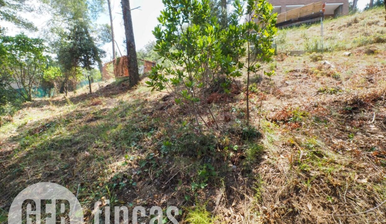 500806_45926208727_d9bb51e0-9708-4e1f-af56-a2376c55bee6