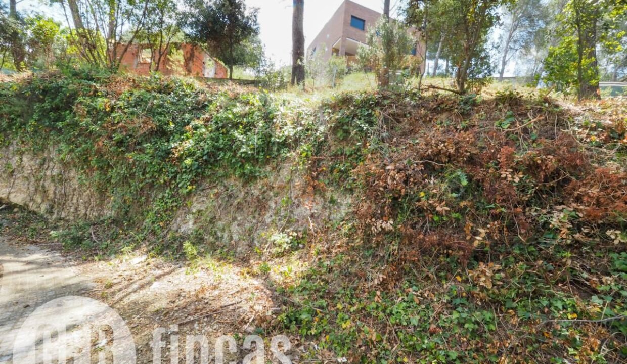 500806_45926208727_f6b471f8-8720-4b95-b74e-8f6453bd1363