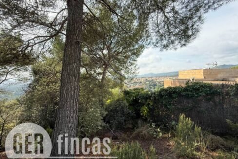 500806_49181862194_02a98c49-0537-42d7-a83c-14bb5bff71dc