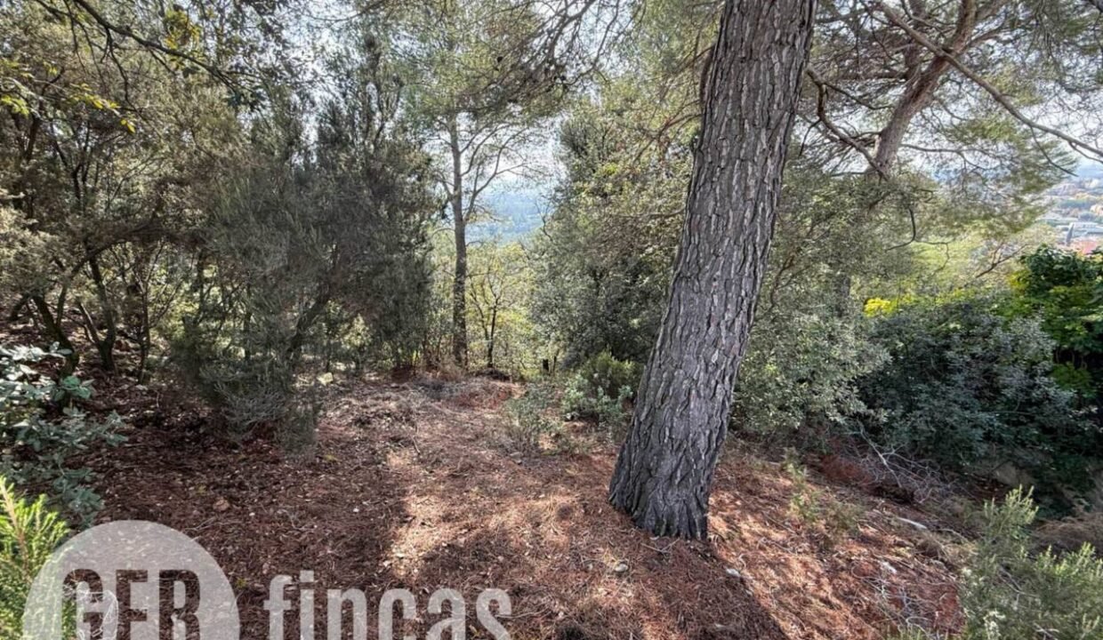 500806_49181862194_3f6e75da-a532-46ab-8eb3-4a622ae0ab23