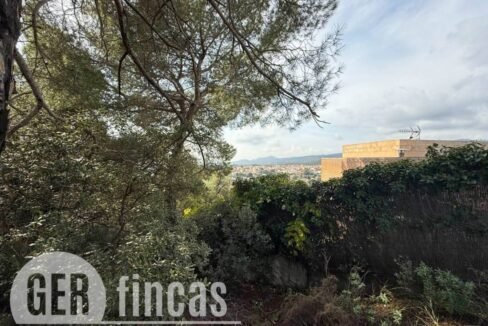 500806_49181862194_5f6bf883-acdd-4d4b-80c9-4d5c80e2b962