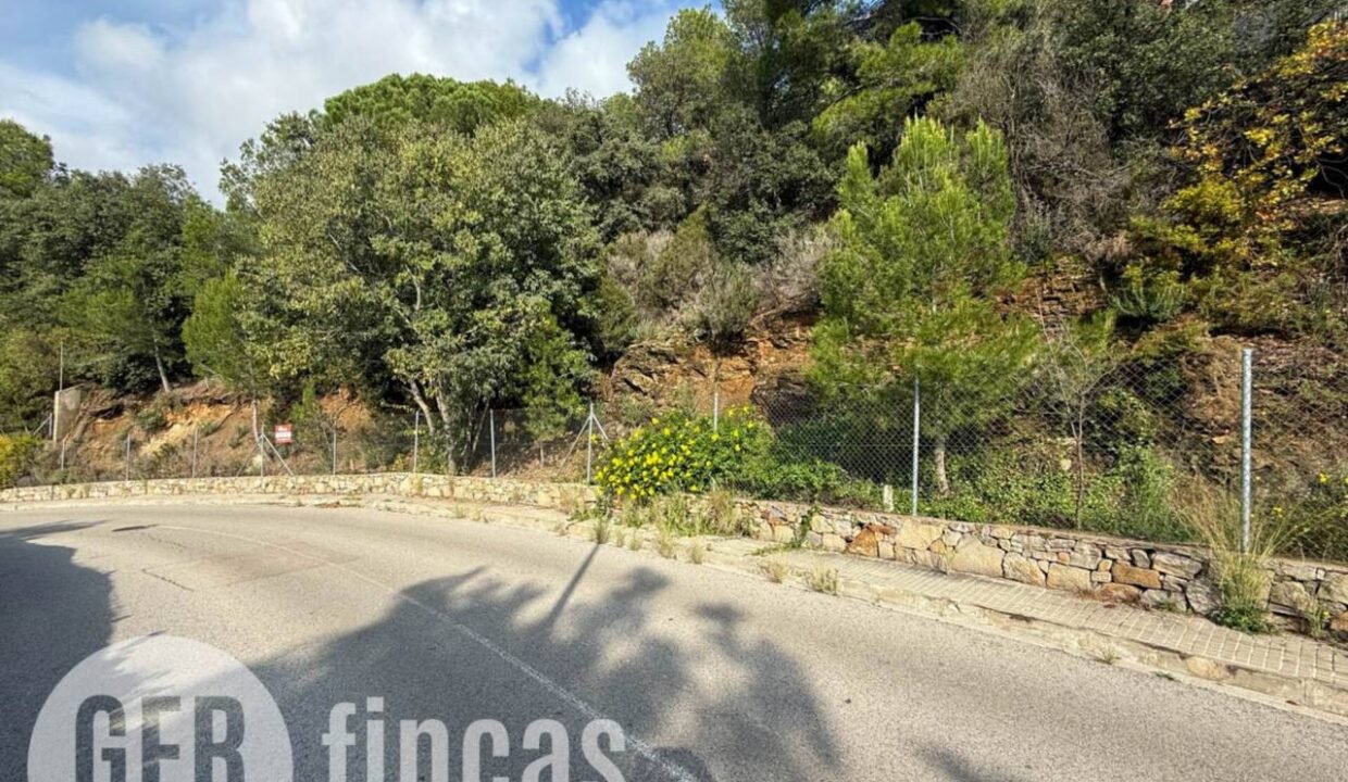 500806_49181862194_92c95471-9e3b-4f50-90a0-054ee5b3845b