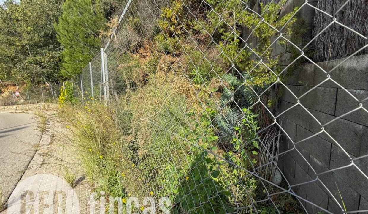 500806_49181862194_c4cead12-af15-46a3-b91d-3d2275af0fdd